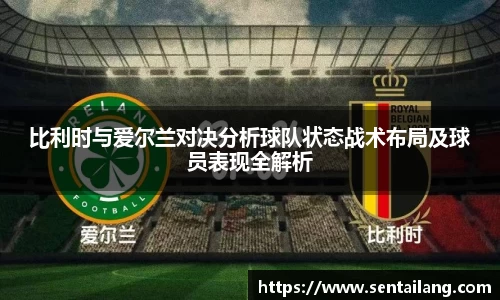 比利时与爱尔兰对决分析球队状态战术布局及球员表现全解析