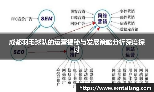 成都羽毛球队的运营揭秘与发展策略分析深度探讨