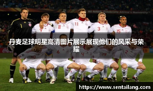 丹麦足球明星高清图片展示展现他们的风采与荣耀